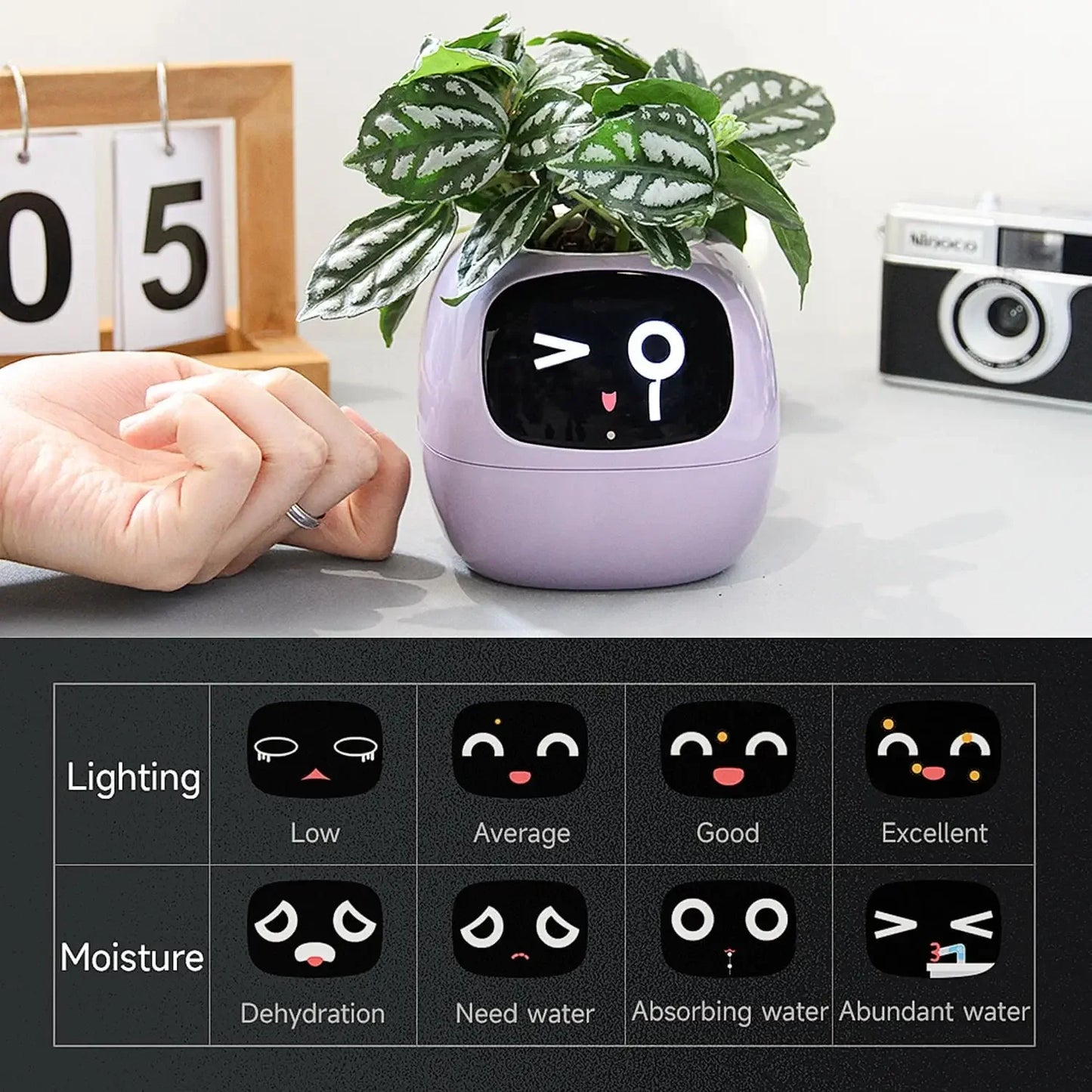 Robot inteligente para planta